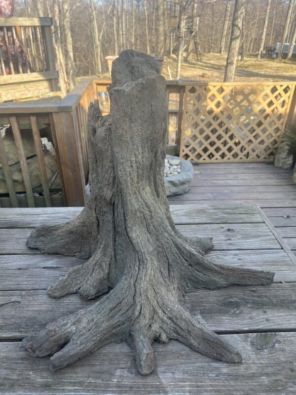 Rock Garden Stump