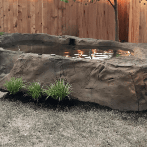 Semi-in Ground Large Koi Pond